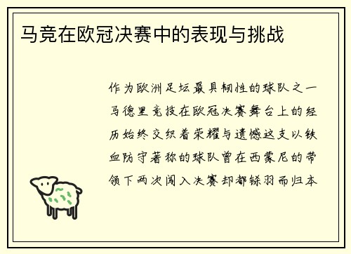 马竞在欧冠决赛中的表现与挑战